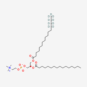 molecular formula C40H80NO8P B12421493 DPPC-d9 