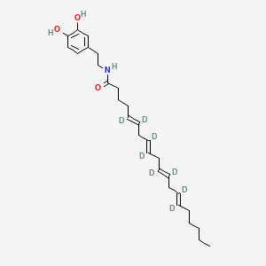 molecular formula C28H41NO3 B12421554 N-Arachidonyldopamine-d8 