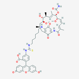 Geldanamycin-FITC