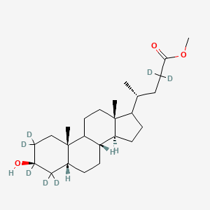 molecular formula C25H42O3 B12422496 Methyl isolithocholate-d7 