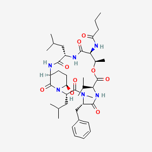 molecular formula C40H62N6O9 B1242305 Tasipeptin B 