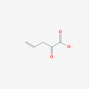 molecular formula C5H5O3- B1242333 2-Oxopent-4-enoate 