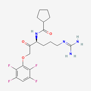 molecular formula C19H24F4N4O3 B12424154 Kgp-IN-1 