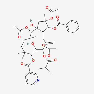 molecular formula C43H53NO14 B12426745 Jatrophane 3 