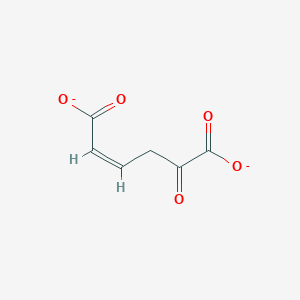 molecular formula C6H4O5-2 B1242723 (Z)-5-Oxohex-2-enedioate 