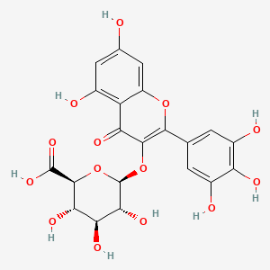 Myricetin 3-O-glucuronide