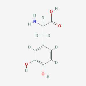 molecular formula C9H11NO4 B12428023 DL-Dopa-d6 