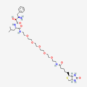 molecular formula C38H64N6O10S B12430018 Biotin-BS 