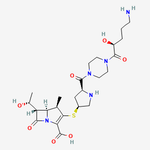 molecular formula C24H37N5O7S B1243067 (4R,5S,6S)-3-[(3S,5S)-5-[4-[(2S)-5-amino-2-hydroxypentanoyl]piperazine-1-carbonyl]pyrrolidin-3-yl]sulfanyl-6-[(1R)-1-hydroxyethyl]-4-methyl-7-oxo-1-azabicyclo[3.2.0]hept-2-ene-2-carboxylic acid 