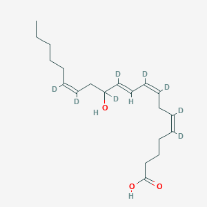 molecular formula C20H32O3 B12430680 12-HETE-d8 