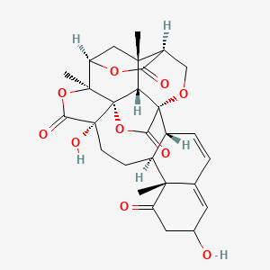 molecular formula C28H30O10 B12430976 Physalin X 