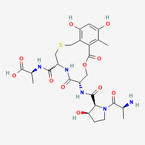 Cyclothialidine C