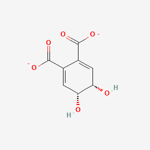 molecular formula C8H6O6-2 B1243405 cis-4,5-Dihydroxycyclohexa-1(6),2-diene-1,2-dicarboxylate 