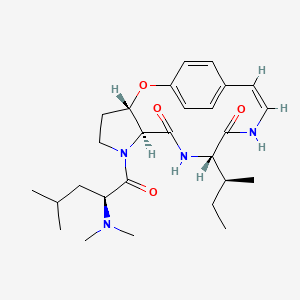molecular formula C27H40N4O4 B1243588 Mucronine J 