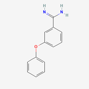 molecular formula C13H12N2O B12436056 3-Phenoxybenzene-1-carboximidamide 