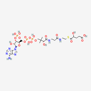 molecular formula C26H42N7O20P3S B1243610 2-Hydroxyglutaryl-CoA 