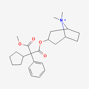 molecular formula C24H34NO4+ B1243638 1-O-(8,8-dimethyl-8-azoniabicyclo[3.2.1]octan-3-yl) 3-O-methyl 2-cyclopentyl-2-phenylpropanedioate 