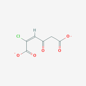 molecular formula C6H3ClO5-2 B1243639 2-Chloromaleylacetate 