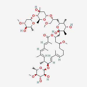 molecular formula C58H96O19 B1243748 Apoptolidin C 