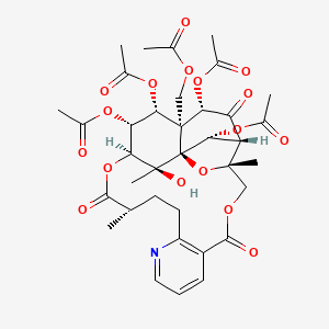 molecular formula C36H43NO17 B1243769 Evonimine 