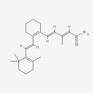 B1243814 2,4-Pentadienoic acid, 3-methyl-5-(2-(2-(2,6,6-trimethyl-1-cyclohexen-1-yl)ethenyl)-1-cyclohexen-1-yl)-, (E,E,E)- CAS No. 173792-73-9