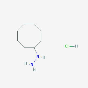 molecular formula C8H19ClN2 B12438344 Cyclooctylhydrazine hydrochloride CAS No. 92379-99-2