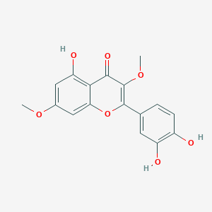Quercetin 3,7-Dimethyl Ether