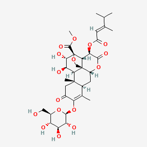 molecular formula C34H46O16 B1243996 Yadanzioside P 