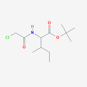 molecular formula C12H22ClNO3 B12440112 Tert-butyl 2-(2-chloroacetamido)-3-methylpentanoate 