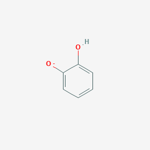 molecular formula C6H5O2- B1244127 Catecholate(1-) 
