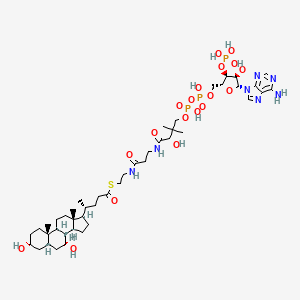 molecular formula C45H74N7O19P3S B1244130 Chenodeoxycholoyl-CoA 