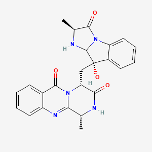 molecular formula C24H23N5O4 B1244135 (1R,4R)-4-[[(2S,4S)-4-hydroxy-2-methyl-1-oxo-3,3a-dihydro-2H-imidazo[1,2-a]indol-4-yl]methyl]-1-methyl-2,4-dihydro-1H-pyrazino[2,1-b]quinazoline-3,6-dione 