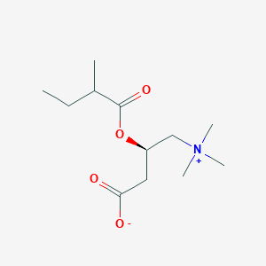 molecular formula C12H23NO4 B1244155 2-Methylbutyrylcarnitine 