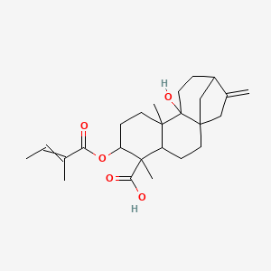 molecular formula C25H36O5 B12442409 3Alaph-Tigloyloxypterokaurene L3 