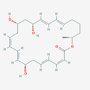 molecular formula C24H34O5 B1244447 Macrolactin A 