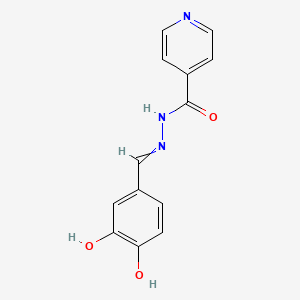 molecular formula C13H11N3O3 B12446137 3,4-Dihydroxybenzaldehyde isonicotinoyl hydrazone CAS No. 13838-18-1