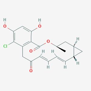 molecular formula C19H19ClO5 B1244695 Cycloproparadicicol 