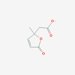 molecular formula C7H7O4- B1244709 4-Methylmuconolactone 