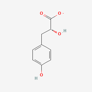 molecular formula C9H9O4- B1244712 (R)-3-(4-Hydroxyphenyl)lactate 