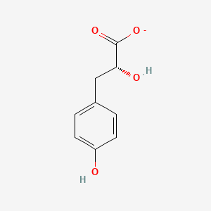 (R)-3-(4-Hydroxyphenyl)lactate