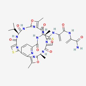 molecular formula C42H43N13O10S2 B1244815 Promothiocin B CAS No. 156737-06-3