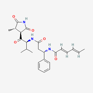 molecular formula C25H31N3O5 B1244846 moiramide B 