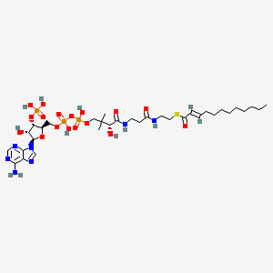 trans-Dodec-2-enoyl-CoA