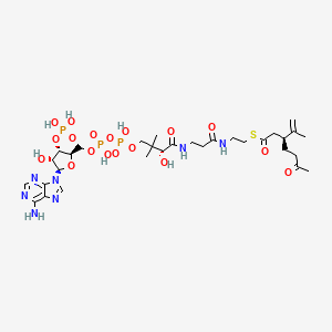 (3S)-3-Isopropenyl-6-oxoheptanoyl-CoA