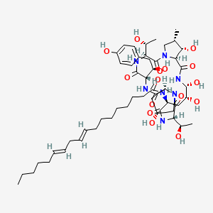 (9E,12E)-N-[(3S,6S,9S,11R,15S,18S,20R,21R,24S,25S,26S)-11,20,21,25-tetrahydroxy-3,15-bis[(1R)-1-hydroxyethyl]-6-[(1R)-1-hydroxy-2-(4-hydroxyphenyl)ethyl]-26-methyl-2,5,8,14,17,23-hexaoxo-1,4,7,13,16,22-hexazatricyclo[22.3.0.09,13]heptacosan-18-yl]octadeca-9,12-dienamide
