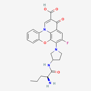 molecular formula C25H25FN4O5 B1245001 10-[3-[[(2S)-2-aminopentanoyl]amino]pyrrolidin-1-yl]-11-fluoro-14-oxo-8-oxa-1-azatetracyclo[7.7.1.02,7.013,17]heptadeca-2,4,6,9(17),10,12,15-heptaene-15-carboxylic acid 