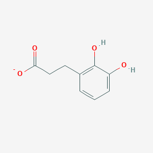 molecular formula C9H9O4- B1245008 3-(2,3-Dihydroxyphenyl)propanoate 
