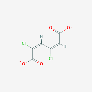 molecular formula C6H2Cl2O4-2 B1245009 2,4-Dichloro-cis,cis-muconate(2-) 