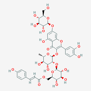 quercetin 3-O-alpha-L-[6'''-p-coumaroyl-beta-D-glucopyranosyl-(1->2)-rhamnopyranoside]-7-O-beta-D-glucopyranoside