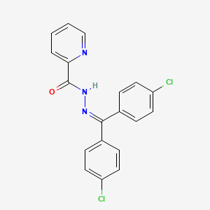molecular formula C19H13Cl2N3O B12451193 N'-[bis(4-chlorophenyl)methylidene]pyridine-2-carbohydrazide 